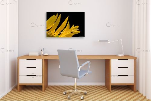 צהוב ושחור - שרית סלימן - תמונות לסלון מודרני תמונות בחלקים  - מק''ט: 197771