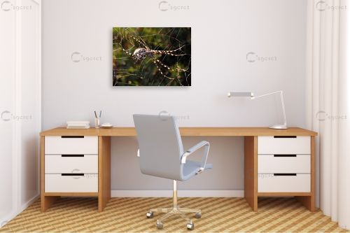 קורים זוהרים – משה יפה | תמונה לקיר בסגנון מודרני