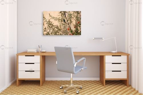 עדינות – מיכל פרטיג | תמונה לקיר בסגנון מודרני