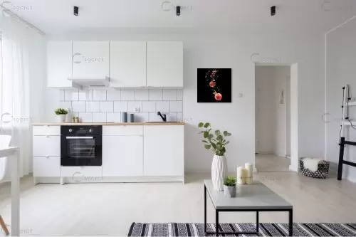 רימונים במים – קובי פרידמן | תמונה לקיר בסגנון מודרני