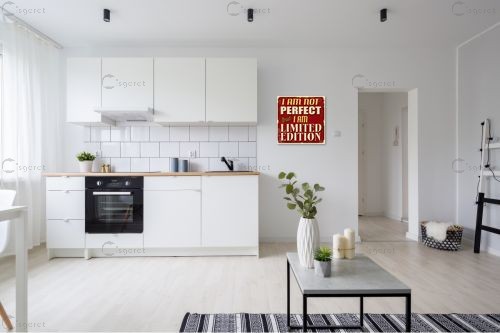 אני לא מושלם אבל אני מהדורה מוגבלת – Artpicked Modern | תמונה לקיר בסג