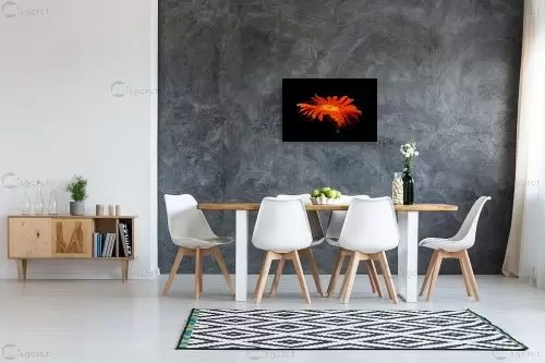 פרח – ניקולאי טטרצ'וק | תמונה לקיר בסגנון מודרני