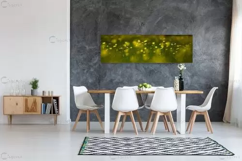 חרציות – ניר אלון | תמונה לקיר בסגנון כפרי