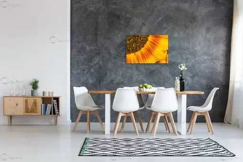 חמניה – איזבלה אלקבץ | תמונה לקיר בסגנון מודרני