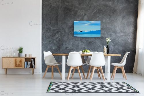 מעוף הקונדור – רן זיסוביץ | תמונה לקיר בסגנון מודרני