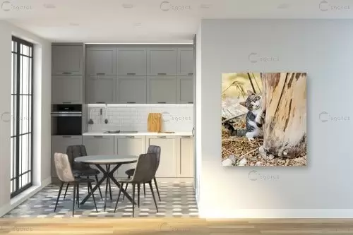 משחקים – רן זיסוביץ | תמונה לקיר בסגנון כפרי