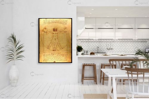 האדם הוויטרובי – לאונרדו דה וינצי | תמונה לקיר