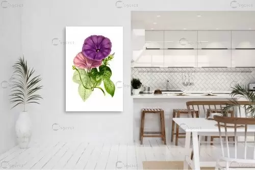 בוטני סגול - Artpicked - תמונות וינטג' לסלון פרחים בסגנון רטרו  - מק''ט: 329687
