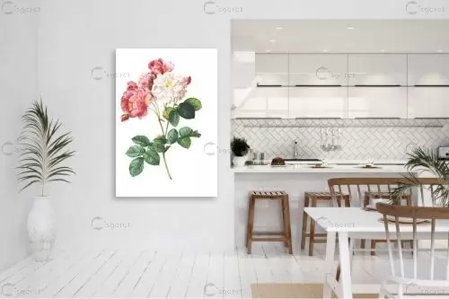 בוטני ורדים - Artpicked - תמונות רומנטיות לחדר שינה פרחים בסגנון רטרו  - מק''ט: 329689