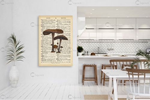 פיטריות2 רטרו על טקסט - Artpicked - תמונות למטבח כפרי פרחים בסגנון רטרו  - מק''ט: 330219