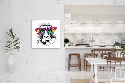 Stay Cool – Artpicked Modern | תמונה לקיר בסגנון מודרני