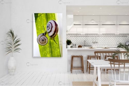 שניים – שרית סלימן | תמונה לקיר בסגנון כפרי