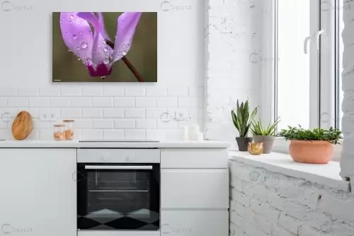 היהלום שבכתר.. – מיכאל שמידט | תמונה לקיר בסגנון מודרני