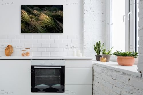 ברוח – אילן עמיחי | תמונה לקיר בסגנון מודרני