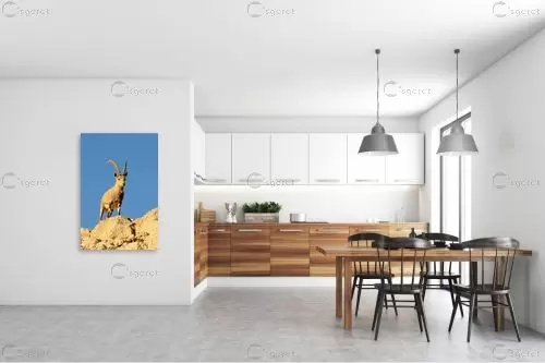 הצופה – אייל הצפון | תמונה לקיר בסגנון מודרני