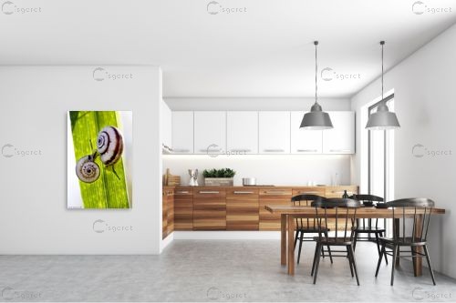 שניים – שרית סלימן | תמונה לקיר בסגנון כפרי