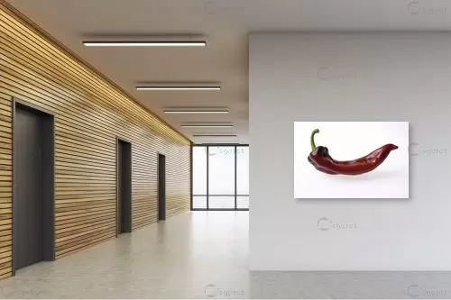פלפל – אילן עמיחי | תמונה לקיר בסגנון מודרני
