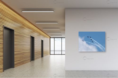 מפגן אוירי 08 – ארי בלטינשטר | תמונה לקיר בסגנון מודרני