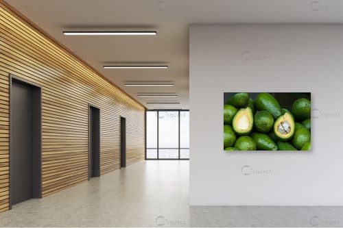 אבוקדו – רן זיסוביץ | תמונה לקיר בסגנון מודרני