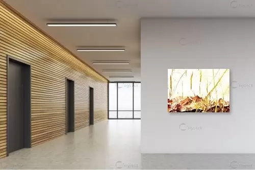 ענפים - רוזה לשצ'ינסקי - תמונות לסלון מודרני נוף וטבע מופשט  - מק''ט: 204271