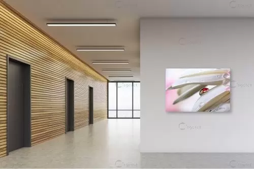 פרחים – ניקולאי טטרצ'וק | תמונה לקיר בסגנון מודרני