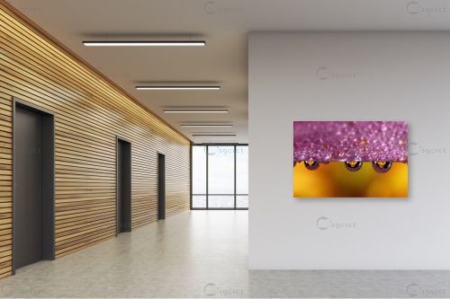פרחים - ניקולאי טטרצ'וק - תמונות צבעוניות לסלון תמונות תקריב מאקרו תמונות בחלקים  - מק''ט: 211484