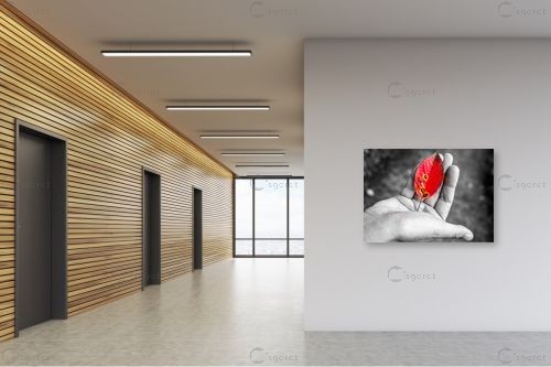 עלה – אילן עמיחי | תמונה לקיר בסגנון מודרני