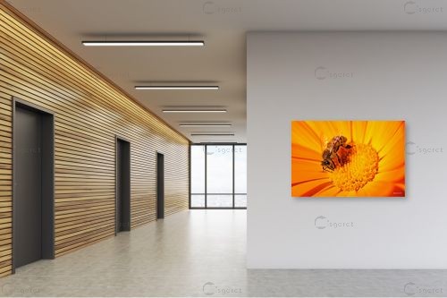 צוף החיים – מיכאל שמידט | תמונה לקיר בסגנון כפרי