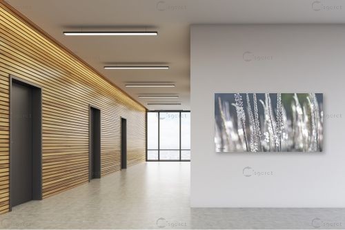 לנשום... – מיכאל שמידט | תמונה לקיר בסגנון מודרני