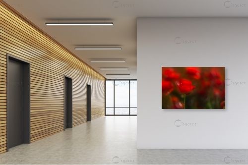 זוהרים באדום - דורית ברקוביץ - תמונות רומנטיות לחדר שינה תמונות בחלקים  - מק''ט: 262285