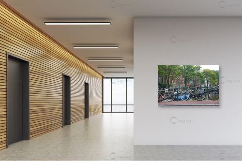 אופניים – אלי נגר | תמונה לקיר בסגנון אורבני