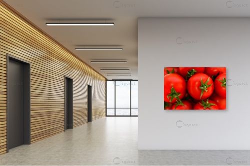 עגבניות - טניה קלימנקו -  - מק''ט: 286650