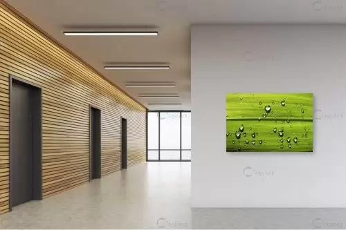 טיפות מגדלת – משה יפה | תמונה לקיר בסגנון מודרני