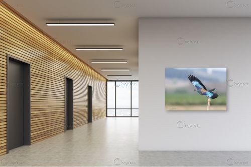 כחול טורקיז – כרמל תדמור | תמונה לקיר בסגנון מודרני