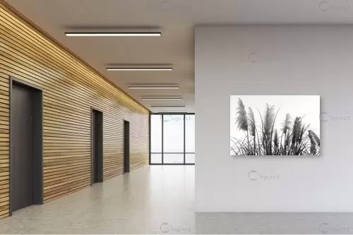 פמפס – סיוון זמיר | תמונה לקיר בסגנון מודרני