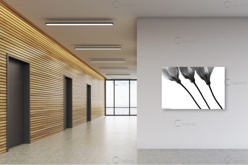 מנורת שולחן – שרית סלימן | תמונה לקיר בסגנון מינימליסטי