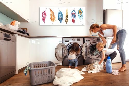 נוצות בצבעי הקשת II – Farida Zaman | תמונה לקיר בסגנון צבעוני