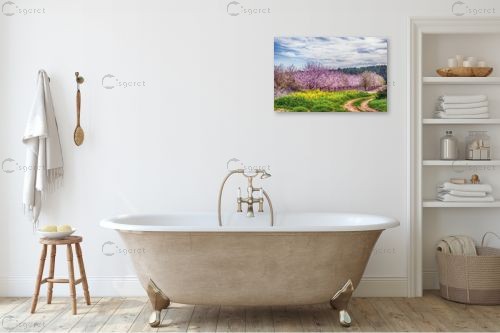 שקדיות בלכיש 1 – אורלי גור | תמונה לקיר בסגנון כפרי