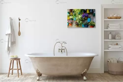 עציצים – ויויאן נתן | תמונה לקיר בסגנון כפרי