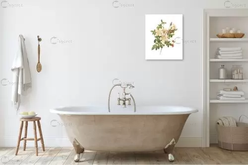 בוטני לבן - Artpicked - תמונות וינטג' לסלון פרחים בסגנון רטרו  - מק''ט: 329685