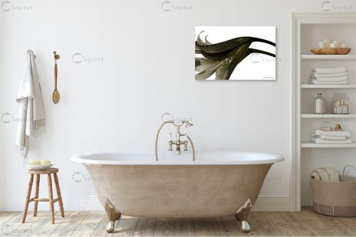 זוג – שרית סלימן | תמונה לקיר בסגנון מודרני