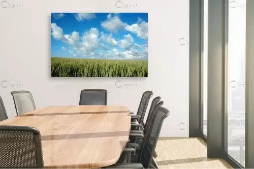 שדה – עידן גיל | תמונה לקיר בסגנון מודרני