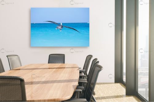 שקנאי – ניר אלון | תמונה לקיר בסגנון מודרני