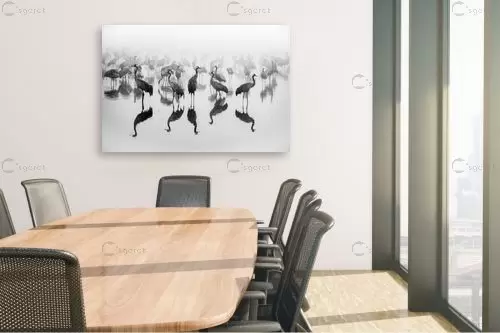 עגורים בערפל – רן זיסוביץ | תמונה לקיר בסגנון מודרני