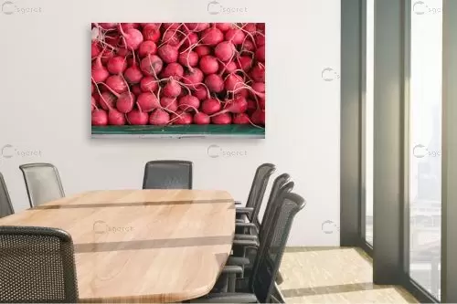 צנוניות – דן ששתיאל | תמונה לקיר בסגנון כפרי