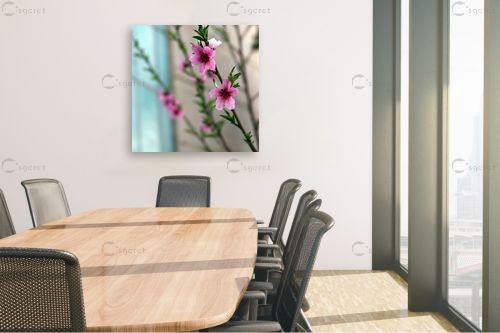 פריחה – מיכל פרטיג | תמונה לקיר בסגנון כפרי