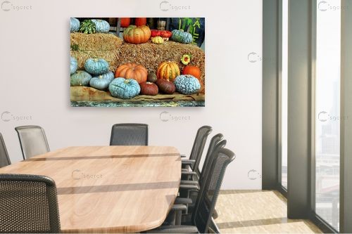 דלעות – שוש אבן | תמונה לקיר בסגנון כפרי