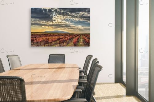 צבעי שלכת בגליל – מיכאל שמידט | תמונה לקיר בסגנון כפרי