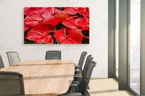 פרחים אדומים בהרכב - טניה קלימנקו - תמונות רומנטיות לחדר שינה  - מק''ט: 301834