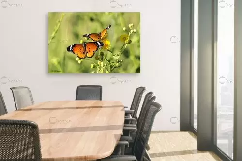 טובים השניים – ארי בלטינשטר | תמונה לקיר בסגנון כפרי